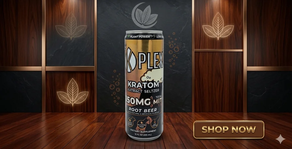 Prof. Whyte's KPLEX MIT Seltzer
