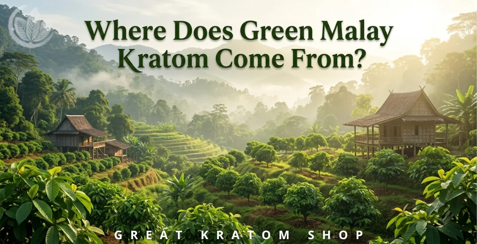 Where Does Green Malay Kratom Come From