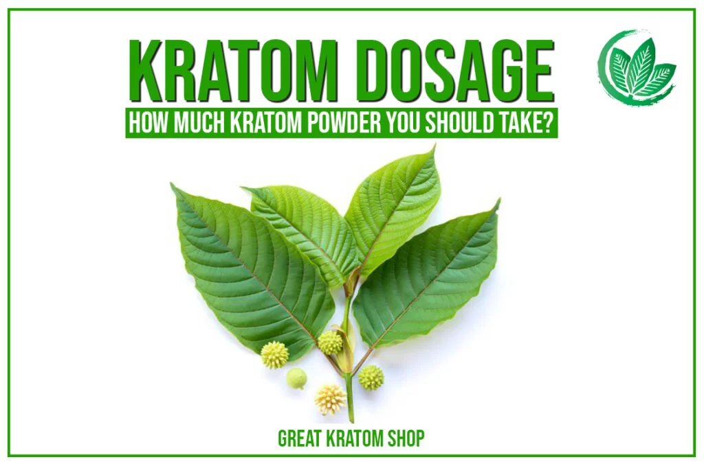 kratom dosage: how much you should take