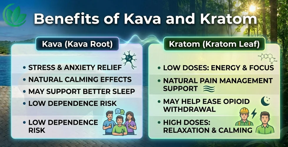 Benefits of Kava and Kratom