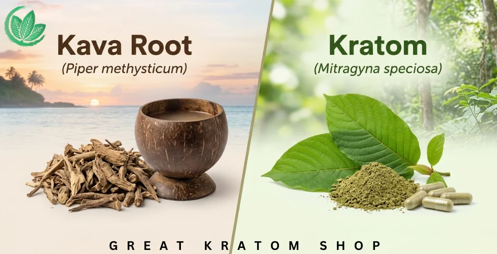 Kava vs Kratom Which One Should You Choose