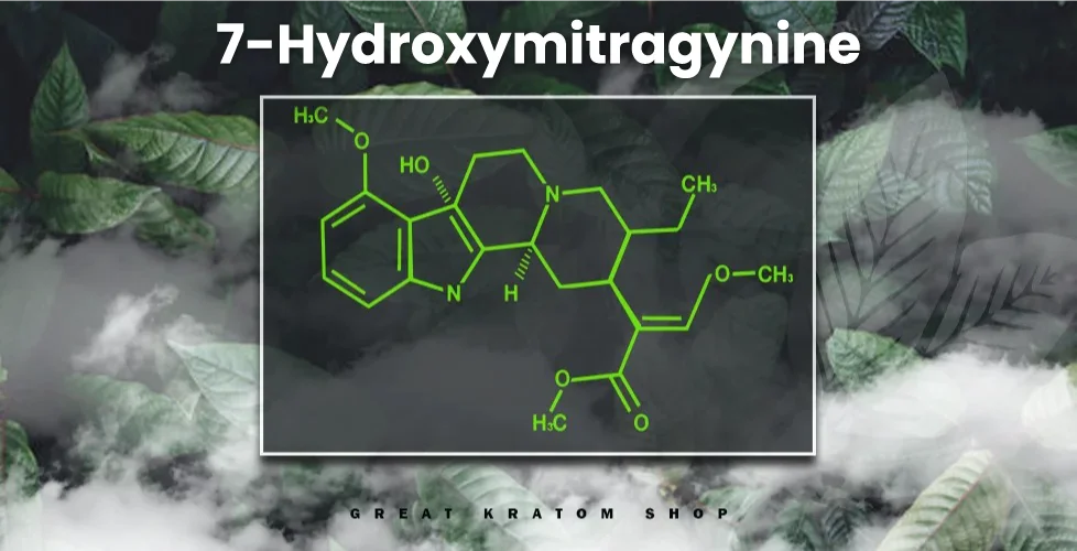 What is 7-Hydroxymitragynine