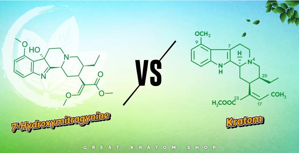 7-Hydroxymitragynine vs Kratom comparison: Which is stronger?