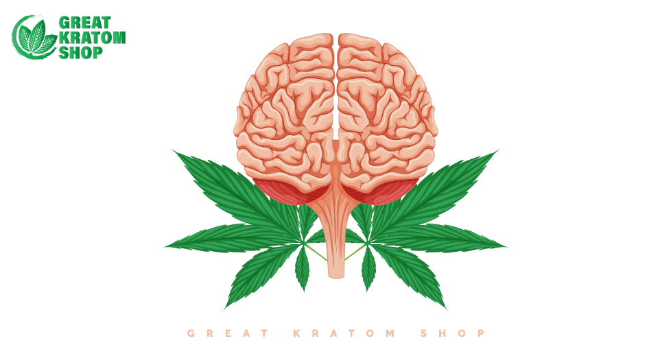 How Does Kratom Work on the Body and Brain