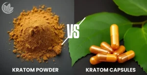 Kratom Powder vs Capsules: Which One Is Best For You?