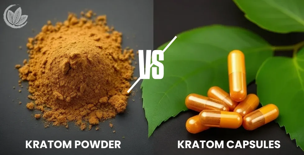 Kratom Powder vs Capsules Which One Is Best For You