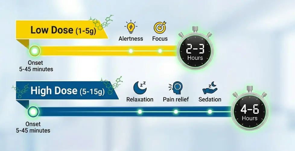 How Long Do Kratom Effects Last?