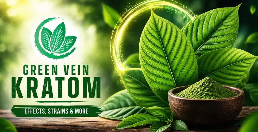 Green Vein Kratom: The Complete Guide to Effects, Strains