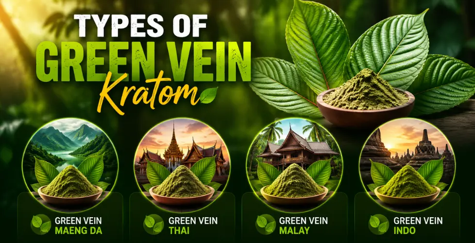 Types of Green Vein Kratom: A Strain-by-Strain Breakdown